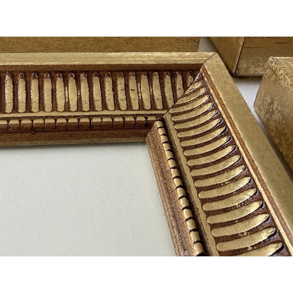 2005 "Bugs of Gold" Embossed Insect Prints – Kevin Lahvic – Gold Frames - Pier 1 - Picture 8 of 12